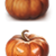 ikonki