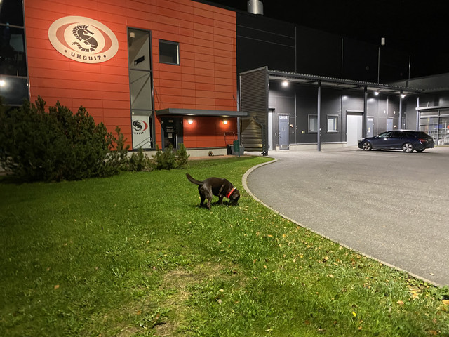 3-D5-C2-A51-52-BF-4-E50-9255-2-F430052-A