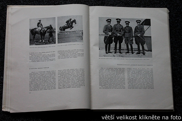 IMG-5528.jpg