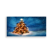 702349-Natal