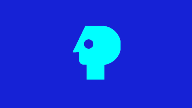 PBS-P-Head-Later