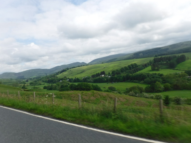 DSCF7924.jpg