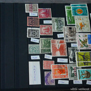 IMG-6838
