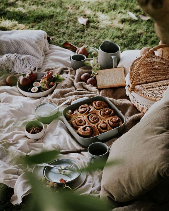 tumblr-f5f75f1234881310a2bbee6c4292dc8a-5f4940ff-540