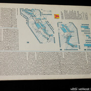 IMG-4506