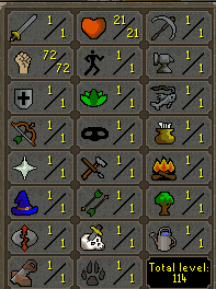 p1.png