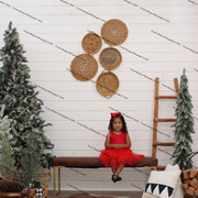 IMG-4667
