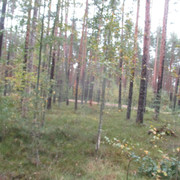 IMG-9661