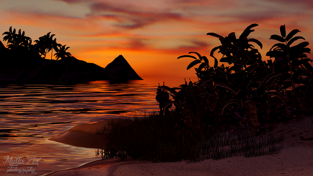3DX Nature