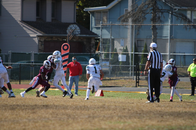 IMG-8231.jpg