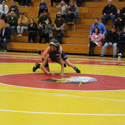 IMG-0082