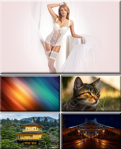 Computer Desktop Wallpapers Collection. Part 3481