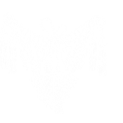 c1-31