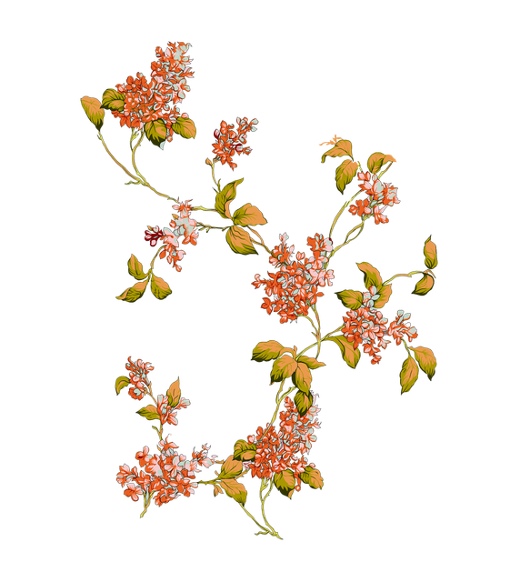 shutterstock 1492650872.png