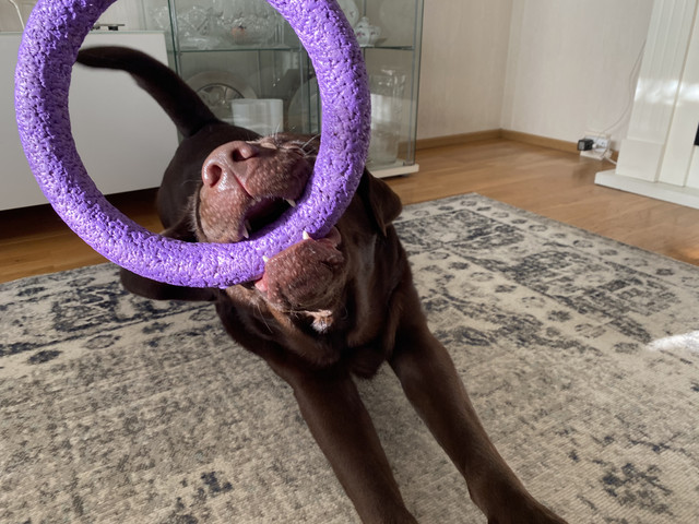 E263055-B-554-E-4734-B94-C-4-E401-CBA471