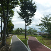 P1350312