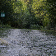 DSC7102