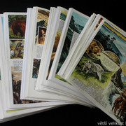 IMG-9071