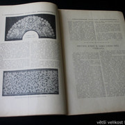 IMG-6149