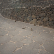 DSC00887