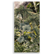 31000901-Floresta-Ana