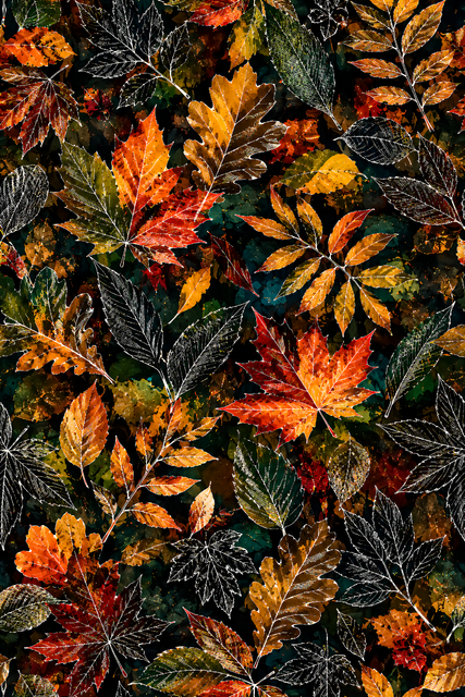image1789277329.png