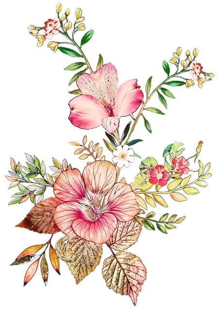 b86fa9f3b2a20a4c8c3a594f2cf9b457.png