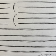 IMG 2502