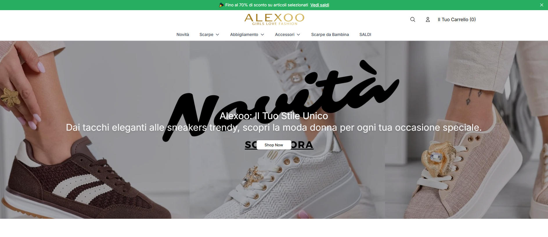 Stored capture of alexooshop.shop