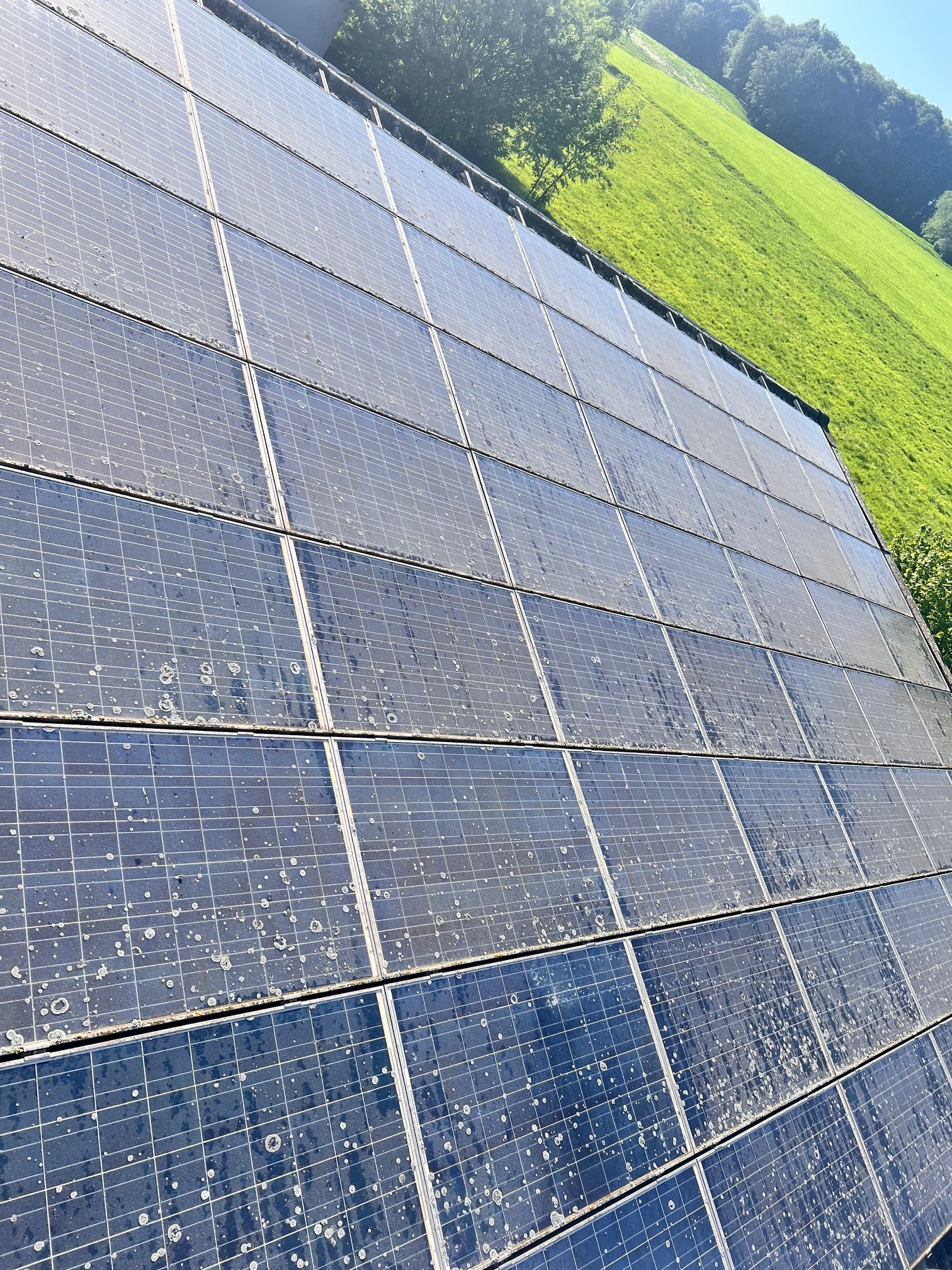 Solar-Module mit starkem Flechten- und Algenbewuchs auf einem Hofdach im Oberbergischen