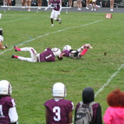 IMG-8382