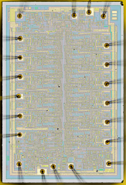 006.jpg