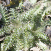 DSC9466