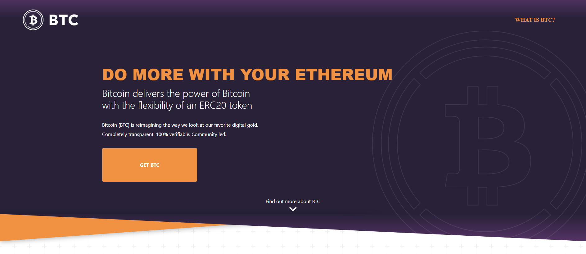 Forensic screenshot of [REDACTED] showing the phishing page layout