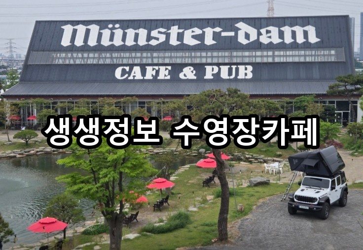 생생정보 수영장카페 대표 이미지