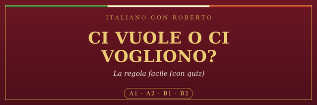 Ci vuole o Ci vogliono - Italiano con Roberto