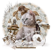 conniecat