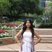 IMG 4461