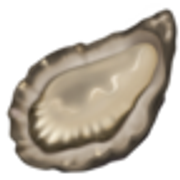 oyster-1f9aa