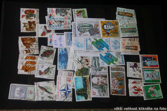 IMG-2426.jpg