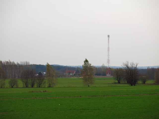IMG-1295
