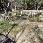 IMG-3085