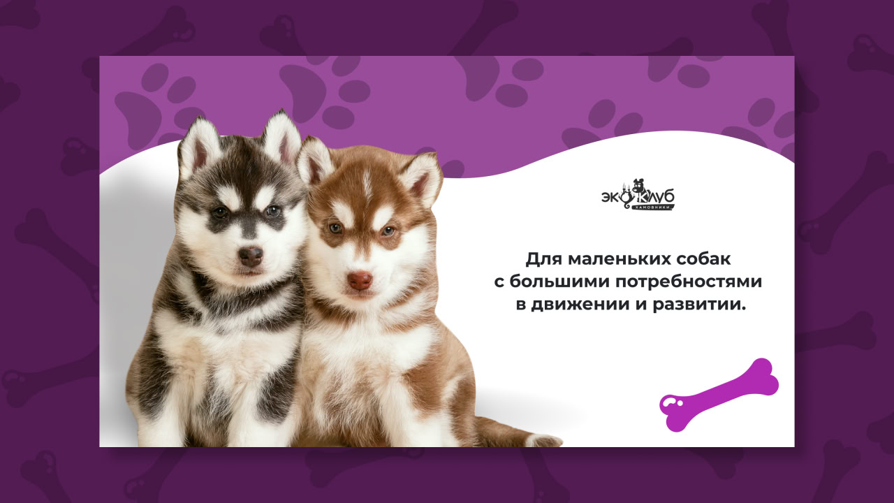 Активности