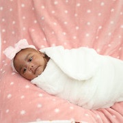 IMG-0647