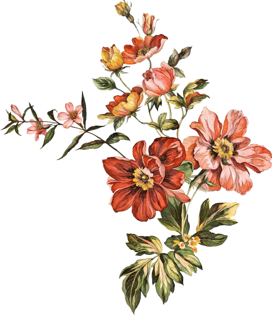 d78840db4ac60e36b934701168b308c6.png