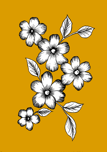 3c776c8251e8d87df4a5d3d7a04fa066.png