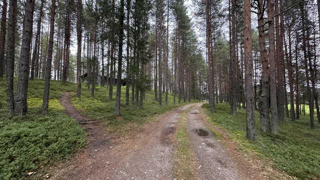 IMG 5706.jpg