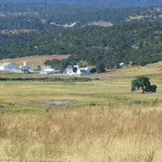 jw ranch Springerville (1)
