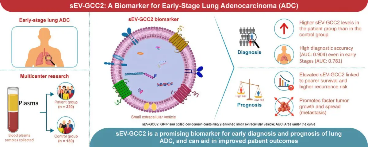 Early Detection of Lung Cancer through Novel Blood Test