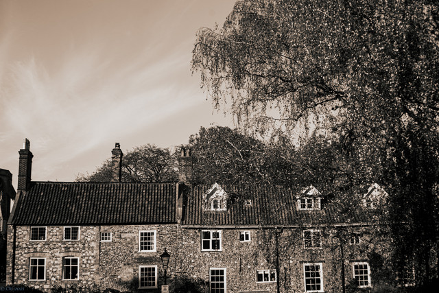 L1000418 2.jpg